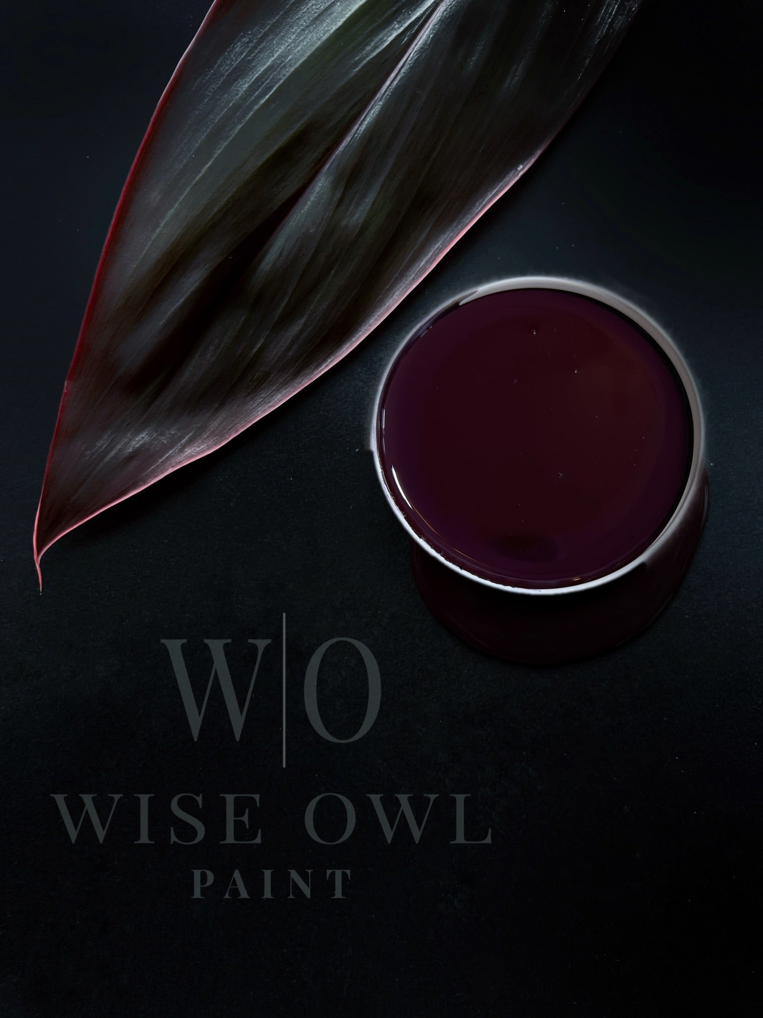 Wise Owl Paint: One Hour Enamel - Weathered Bronze – Remy Restores