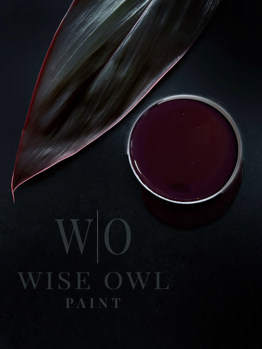 Wise Owl One Hour Enamel - Dark Mahogany